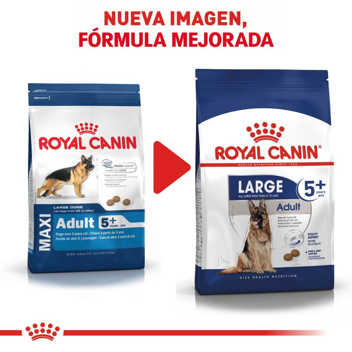 Royal Canin Large Adult 5+ Royal Canin Large Adult 5+